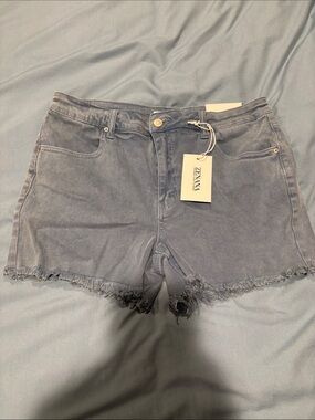 NWT Dusty Teal Zenana Denim Shorts